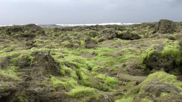 Een Prachtig Landschap Van Het Afgelegen Strand Pingtung County Taiwan — Stockvideo