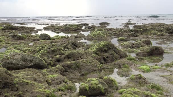 Pingtung County Tayvan Kenting Ulusal Parkı Deniz Burnu Dan Güzel — Stok video