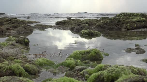 台湾屏东县偏远海滩的美丽风景 剑亭国家公园海景丹 — 图库视频影像