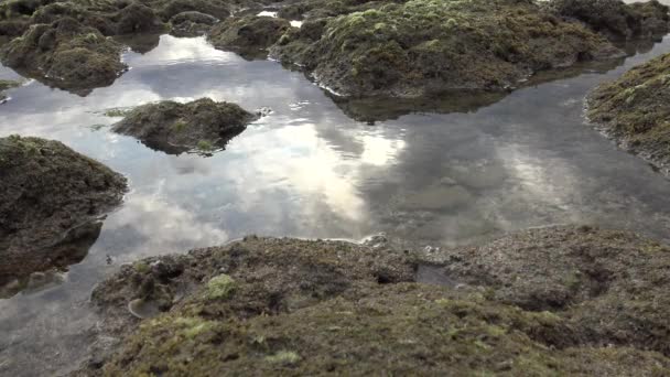 Piękny Krajobraz Odległej Plaży Hrabstwie Pingtung Tajwan Kenting National Park — Wideo stockowe