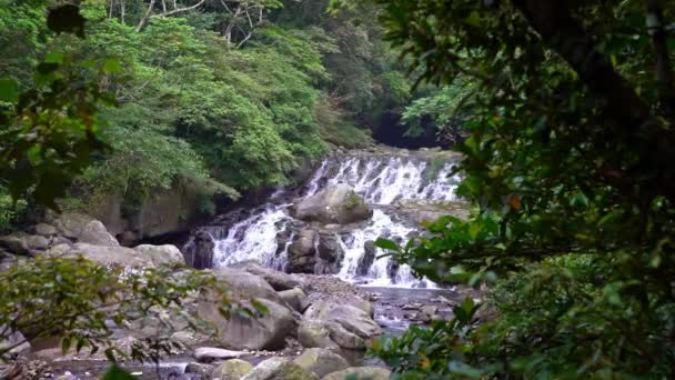 自然の中で自然の美しさの滝の4K 野生の山台湾の木々の間に美しい川のカスケード 万葉源の森 国立レクリエーションエリアXinbei Dan — ストック動画