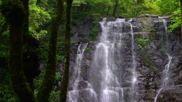 4K自然の美しさバーゲンの滝 自然の景色 台湾の野生の山の中の木々の間に美しい川のカスケード 万葉源の森 国立レクリエーションエリアXinbei Dan — ストック動画