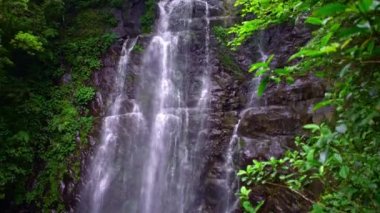 4K Doğal güzellik Virgen Şelalesi, doğa manzarası. Tayvan 'ın vahşi dağlarındaki ağaçların arasında güzel nehir çağlayanı. Manyueyuan Ormanı, Ulusal Dinlenme Alanı Xinbei.