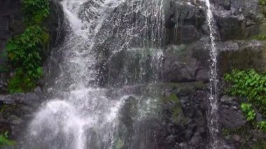 Yavaş çekim doğal güzellik Virgen şelalesi, doğa manzarası. Tayvan 'ın vahşi dağlarındaki ağaçlar arasında güzel bir nehir şelalesi. Manyueyuan Ormanı, Ulusal Dinlenme Alanı Xinbei.