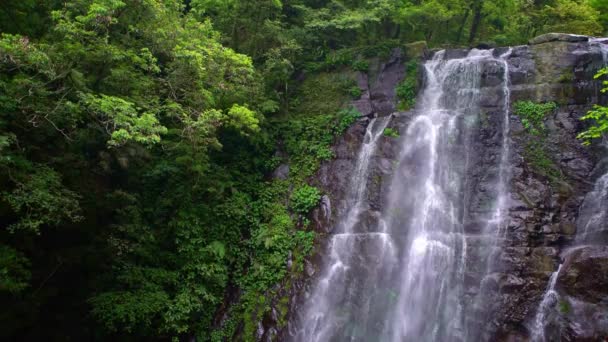 4K自然の美しさバーゲンの滝 自然の景色 台湾の野生の山の中の木々の間に美しい川のカスケード 万葉源の森 国立レクリエーションエリアXinbei Dan — ストック動画