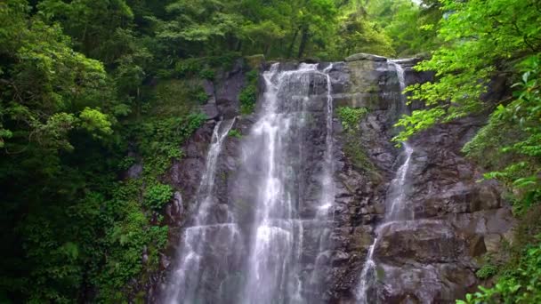 Belleza Natural Cascada Virgen Vista Naturaleza Hermosas Cascadas Río Entre — Vídeos de Stock