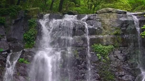 自然美处女座瀑布 自然景观 美丽的河流在台湾荒山野岭中的树木之间蜿蜒而过 Manyueyuan森林 国家娱乐区 — 图库视频影像