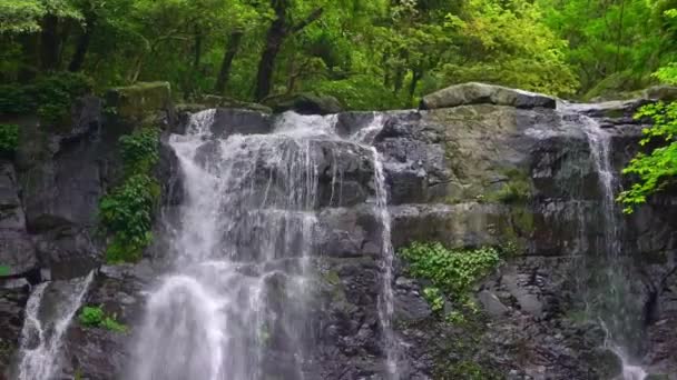 自然の美しさVirgen滝 自然の景色 台湾の野生の山の中の木々の間に美しい川のカスケード 万葉源の森 国立レクリエーションエリアXinbei Dan — ストック動画
