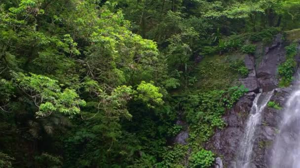 Belleza Natural Cascada Virgen Vista Naturaleza Hermosas Cascadas Río Entre — Vídeo de stock