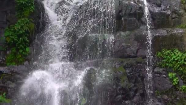 スローモーション自然の美しさ処女の滝 自然の景色 台湾の野生の山の中の木々の間に川のカスケードの美しい低速 万葉源の森 国立レクリエーションエリアXinbei Dan — ストック動画