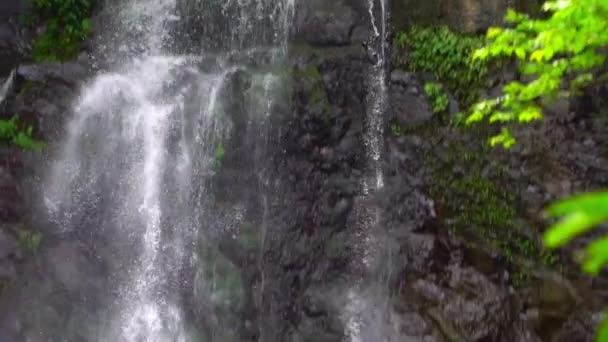 スローモーション自然の美しさ処女の滝 自然の景色 台湾の野生の山の中の木々の間に川のカスケードの美しい低速 万葉源の森 国立レクリエーションエリアXinbei Dan — ストック動画