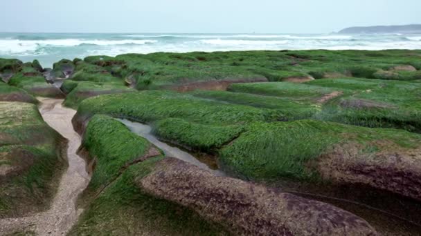Laomei Green Reef New Taipei City 海岸で波が打ち寄せる 海岸線に沿って美しく構造化された火山岩のストレッチ ゴージャスな藻が岩礁構造を覆い — ストック動画
