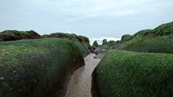 新北市の4K Laomei Green Reef 波状火山溶岩によって形成された形の岩礁 毛布の花が咲くのは台湾北部の海岸村ダン — ストック動画