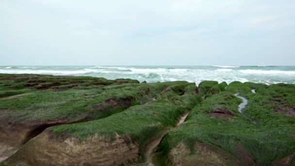 Laomei Green Reef New Taipei City Морские Волны Ломаются Побережье — стоковое видео