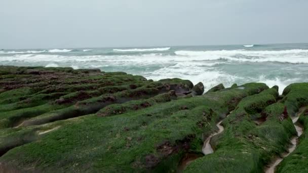 Laomei Green Reef New Taipei City 海岸に打ち寄せる波の旅 海岸線沿いの構造化火山岩のストレッチ ゴージャスな藻岩礁構造 — ストック動画