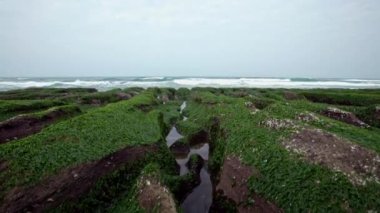 4K Laomei Green Reef New Taipei Şehri. Deniz dalgaları kıyıya vuruyor. Tayvan 'ı merak ediyorum. Kıyı şeridi boyunca çok güzel yapılandırılmış volkanik kayalar. Muhteşem yosunlar Dan kayalarını kapladı.