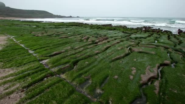 Laomei Green Reef New Taipei City Los Arrecifes Varias Formas — Vídeo de stock