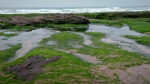 Laomei Green Reef New Taipei Şehri Deniz Dalgaları Kıyıya Vuruyor — Stok video