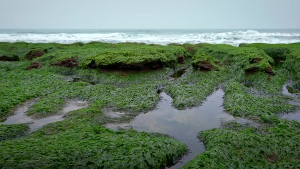 Laomei Green Reef New Taipei Şehri Deniz Dalgaları Kıyıya Vuruyor — Stok video