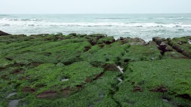 新北市にある4K Laomei Green Reef 様々な形のサンゴ礁は 長年にわたって波状火山溶岩によって形成された 毛布の花が咲くのは台湾北部の海岸村ダン — ストック動画