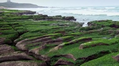 4K Laomei Green Reef New Taipei Şehri. Deniz dalgaları kıyıya vuruyor. Tayvan 'ı merak ediyorum. Kıyı şeridi boyunca çok güzel yapılandırılmış volkanik kayalar. Muhteşem yosunlar Dan kayalarını kapladı.