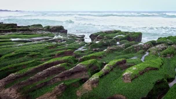 新台北市劳梅绿礁4K 海浪冲刷着海岸 神奇的自然台湾 沿着海岸海岸线伸展着结构精美的火山岩 华丽的海藻覆盖在岩石上 — 图库视频影像