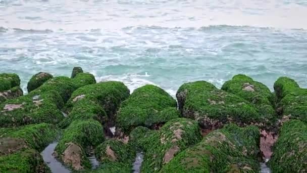 타이베이 Laomei Green Reef 형태의 산호초들은 수년에 파동으로 용암에 형성되었다 — 비디오