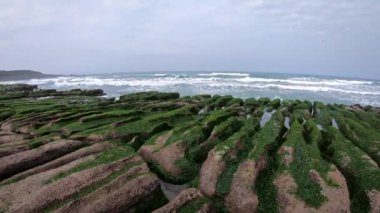 New Taipei şehrinde Laomei Green Reef 'te 4K Drone uçuyor. Yıllar boyunca, dalgaların kestiği volkanik lavlar, resifleri oluşturur. Battaniye çiçeklerinin tomurcuklanması kuzey Tayvan-Dan 'de bir kıyı köyüdür.