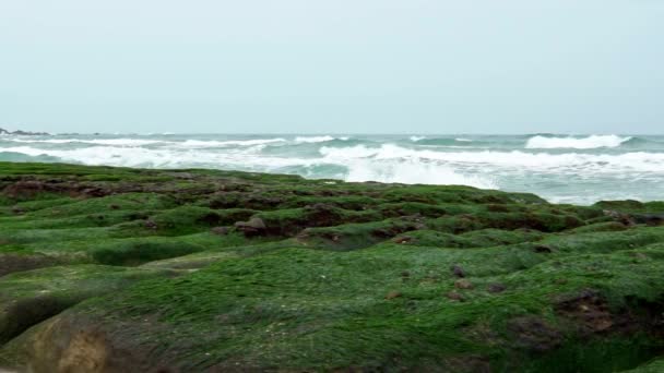 Zpomalte Laomei Green Reef New Taipei City Útesy Tvarů Průběhu — Stock video