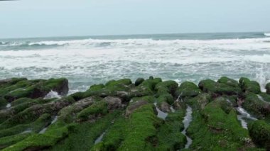 Yavaş çekim Laomei Green Reef New Taipei Şehri. Deniz dalgaları kıyıya vuruyor. Tayvan 'ı merak ediyorum. Çok güzel yapılandırılmış volkanik kayaların kıyıları. Muhteşem yosun kaplı kaya Dan.