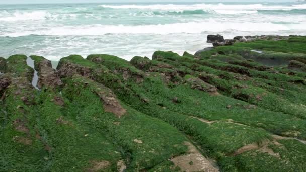 スローモーション 老明グリーンリーフ新北市 海岸で波が打ち寄せる 驚異的な自然台湾 美しく構造化された火山岩海岸線のストレッチ 見事な藻が岩ダンを覆っていた — ストック動画