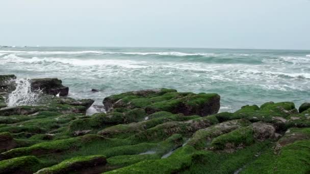 スローモーション 老明グリーンリーフ新北市 海岸で波が打ち寄せる 驚異的な自然台湾 美しく構造化された火山岩海岸線のストレッチ 見事な藻が岩ダンを覆っていた — ストック動画