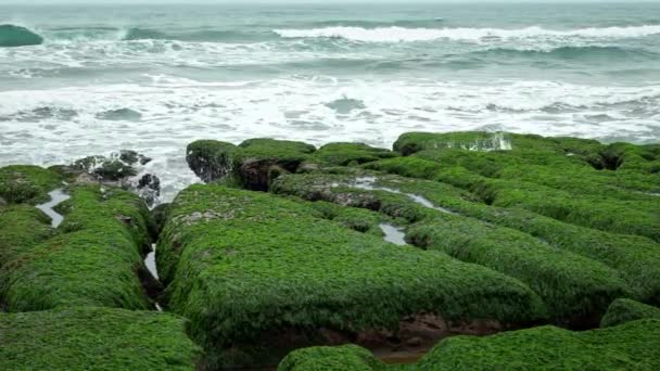 Laomei Green Reef New Taipei City Inglês Ondas Mar Rebentar — Vídeo de Stock