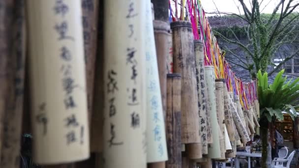 人们把愿望写在竹子上 放在树上是为了好运 也是为了从台湾来的快乐 这是个陷阱 — 图库视频影像