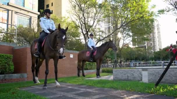 Taipei Taiwan November 2017 Police Riding Horse Street Taiwanese Policemen — Stock Video