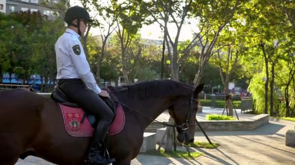 Taipei Taiwan Novembro 2017 Polícia Montando Cavalo Rua Policiais Taiwaneses — Vídeo de Stock