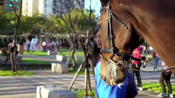 Taipei Taiwan November 2017 Close Head Brown Horse Harness Police — Stock Video