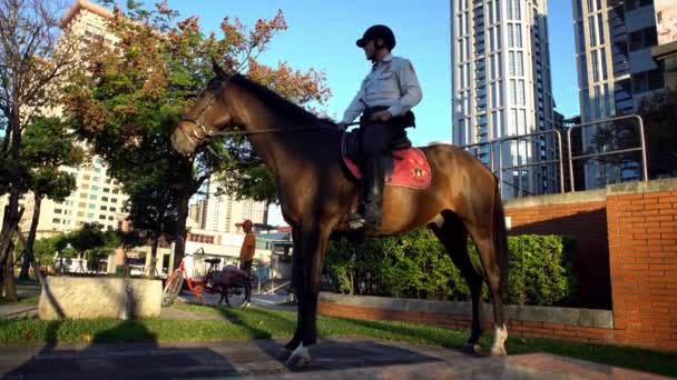 2017年11月28日 警察骑着马在街上 台湾警察骑着马在城里 骑警骑着马在公园里 巡警准备好保护公众丹 — 图库视频影像