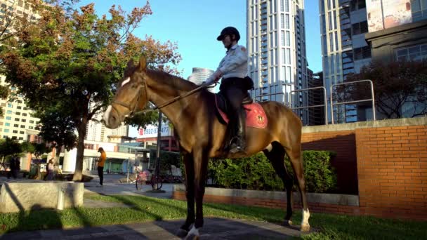 2017年11月28日 警察骑着马在街上 台湾警察骑着马在城里 骑警骑着马在公园里 巡警准备好保护公众丹 — 图库视频影像