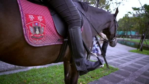 Taipei Taiwan November 2017 Police Riding Horse Street Taiwanese Policemen — Stock Video