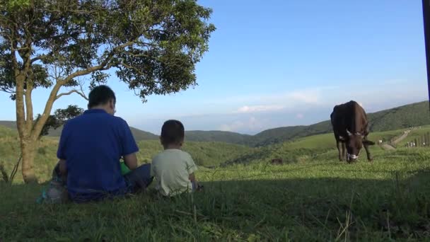 2015年7月13日 4Kアジアの父と息子は 洋明山の清天港山からある夏の美しい風景を見る — ストック動画