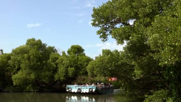 Tainan Taiwan Januari 2019 Turister Njuter Utsikten Grön Tunnel Mangroveträd — Stockvideo