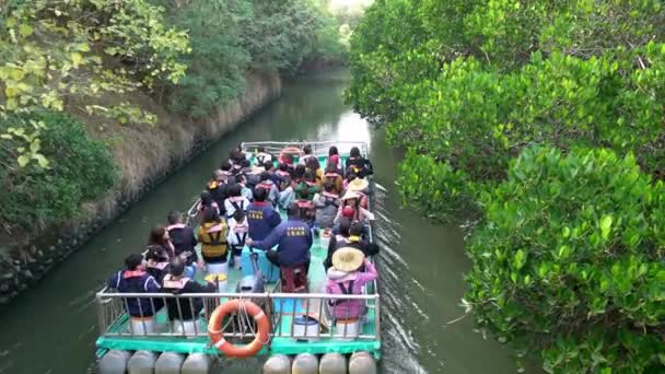 Tainan Taiwan Januari 2019 Wisatawan Menikmati Pemandangan Bawah Terowongan Hijau — Stok Video