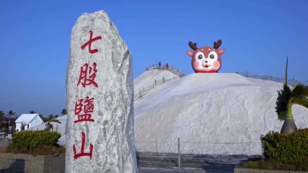 1月2019 訪問者はQigu塩の山の上に上がる 台南で人気の観光スポット シグー塩山とクリスマス鹿の頭像 霊山団 — ストック動画