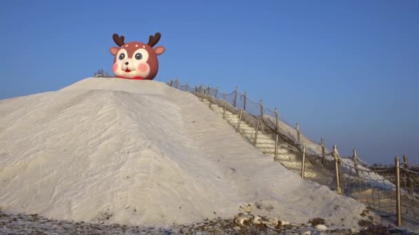 台南台南 2019年1月22日 启固盐山和圣诞鹿头雕像 通过多年的接触 把压实的盐变成固体和极硬的物质的流行吸引力 — 图库视频影像