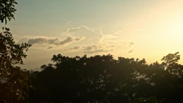 Erhöhte Ansicht Von Landschaftsgebäuden Der Stadt Taipeh Mit Sonnenuntergang Vom — Stockvideo