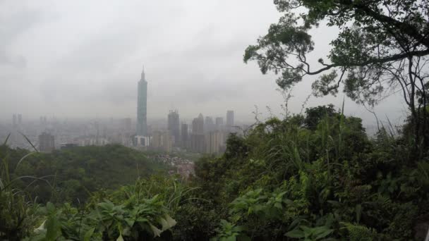 Taipei 101 Tayvan Taipei Şehrinden Bir Günde Yağmur Gibi Yağıyor — Stok video