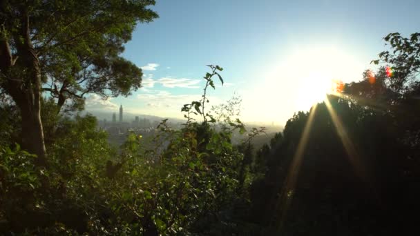 Vue Horizon Ville Taipei Avec Emblématique Bâtiment Taipei 101 Surplombant — Video