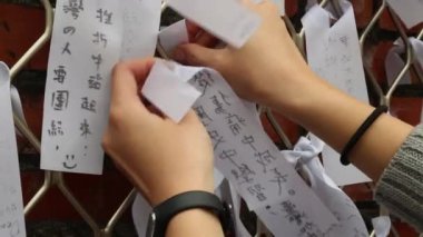 Taipei 'deki belediye parkı 228 Barış Anıtı Tayvan, Kadın duygularını ifade etmek için duvara koydu barış duygusu, anısına insanlar savaştan sonra 28-02-1948' de öldü.