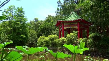 4K Taipei Botanik Bahçesi 'nde küçük bir Çin pavyonu. Şehirdeki büyük parklar.